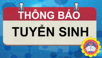 KẾ HOẠCH TUYỂN SINH LỚP 6 TIẾNG ANH TĂNG CƯỜNG NĂM HỌC 2025 - 2026